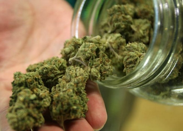 El gobierno debe replantear su postura frente a las drogas