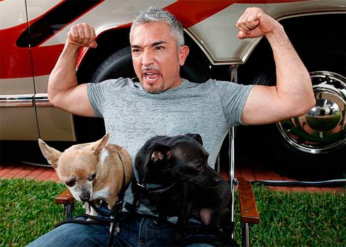 César Millán, el Encantador de perros que maltrata mascotas