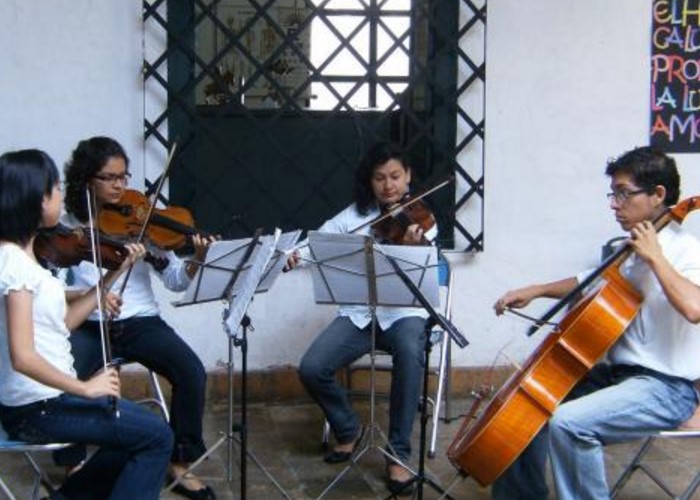 Orfandad de la cultura y los 12 apóstoles