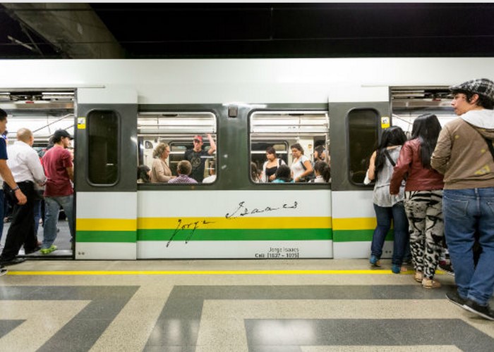 Latas de sardinas pintadas de vida