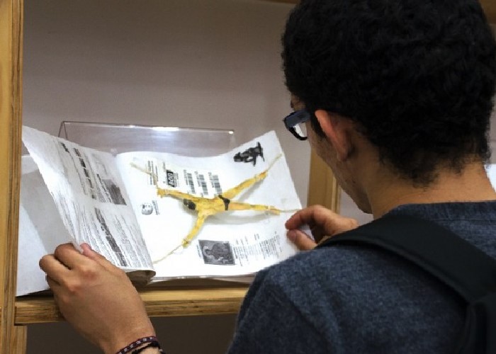 Dibujos errantes: una forma de pensar y dialogar