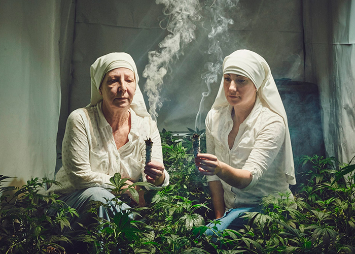 Las monjas que cambiaron los rezos por la marihuana