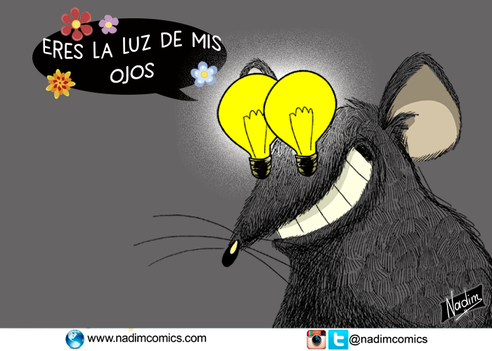 Los cariñitos de Electricaribe