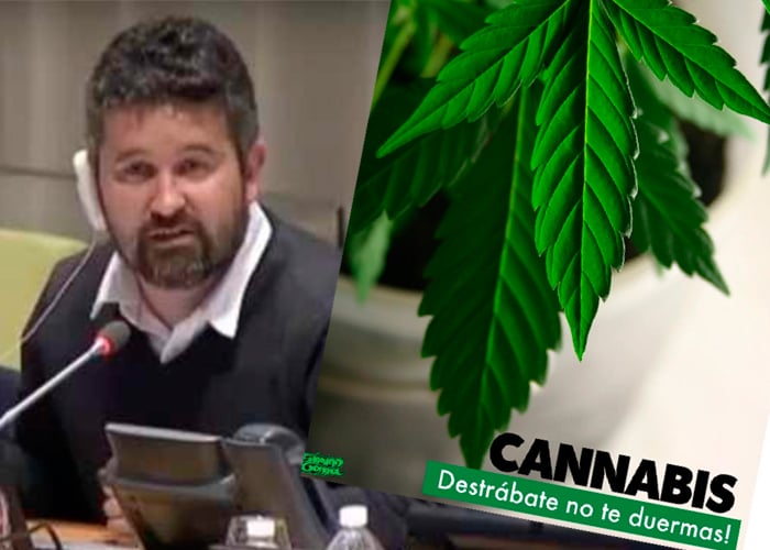 “¡Meta coca pero pura!, ¡trábese pero a lo bien!”, sostienen colombianos que llegaron al foro de la ONU