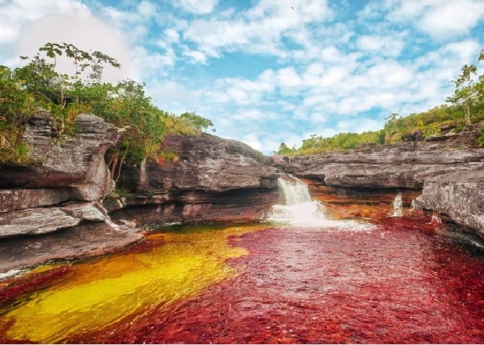 ¿Cómo viajar barato y seguro a Caño Cristales?