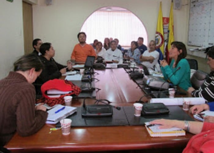 Los Consejos locales de discapacidad son pura habladera de paja