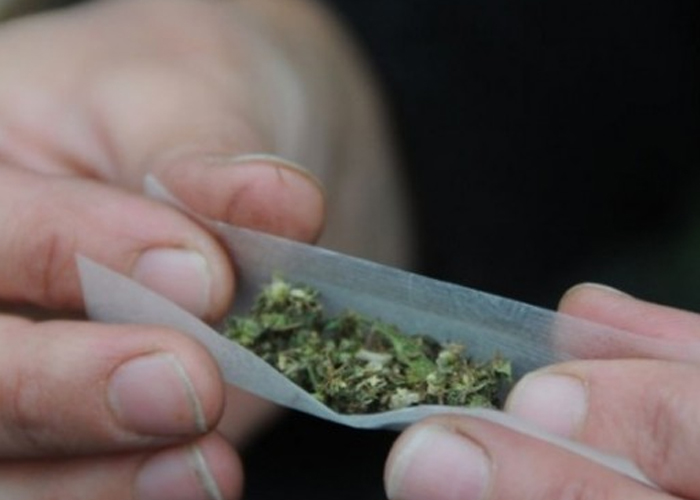 La cuota marihuanera