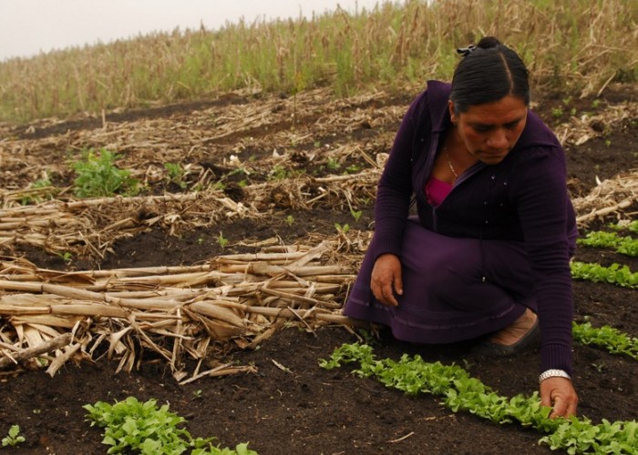 Mujeres destinan más tiempo que hombres en el trabajo del cuidado