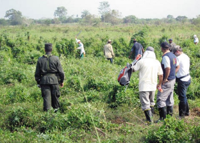 Restitución de tierras ¿una pugna entre élites?
