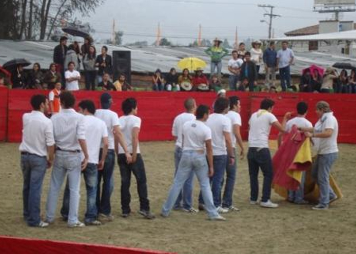 Los presumidos que van a la becerrada rosarista