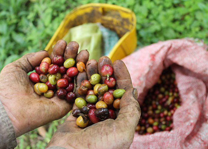 Antecedentes históricos de la reforma rural integral colombiana (Tercera parte)