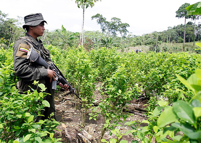 El Catatumbo: una república independiente