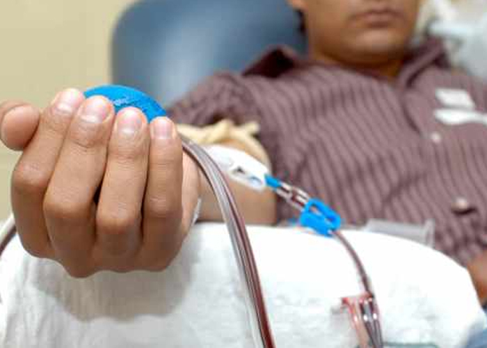 'Si soy gay, mi sangre no sirve'