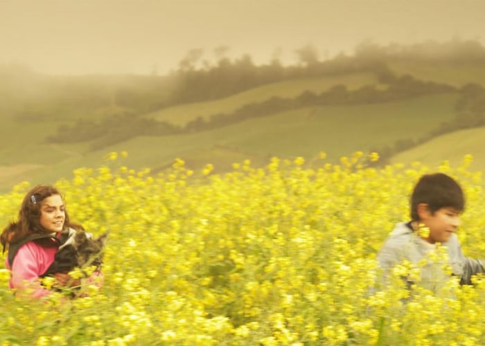 Ipiales, jardín de películas