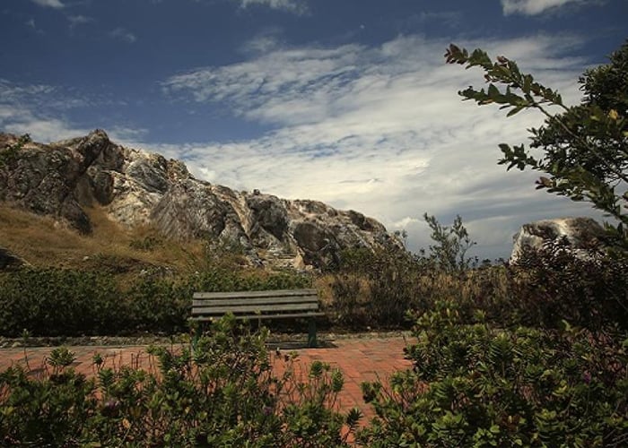 Escasa voluntad institucional para cumplir Semana del Medio Ambiente en Bogotá