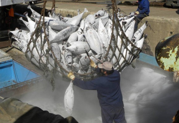 Acuerdo internacional contra pesca ilegal comenzará en junio