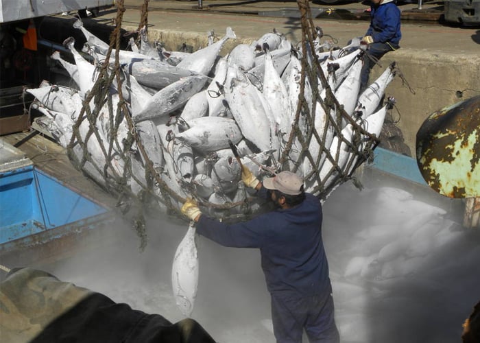 Acuerdo internacional contra pesca ilegal comenzará en junio