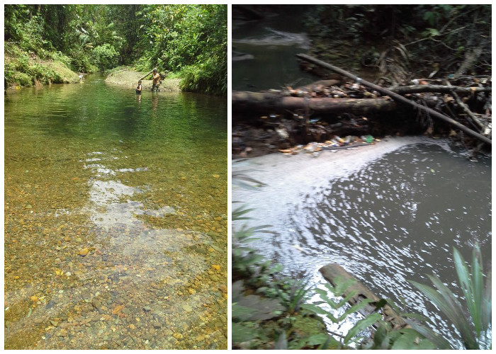 Una quebrada que quedó en el olvido