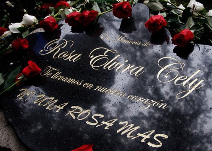 Bogotá empaló la memoria de Rosa Elvira Cely