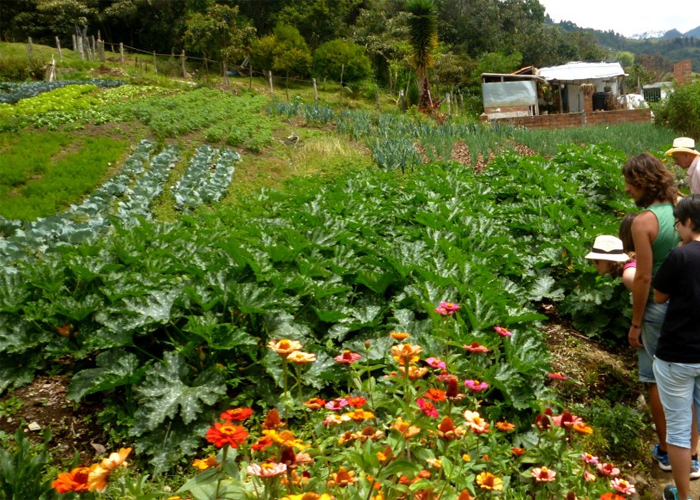 ¿Queremos Paz en Colombia? Busquemos el desarrollo sostenible