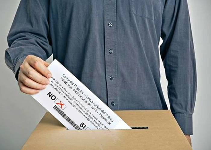 La U. del Tolima realizará su propia consulta popular minera