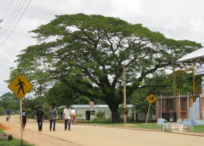 Mineducación incumplió proceso de evaluación en Arauca