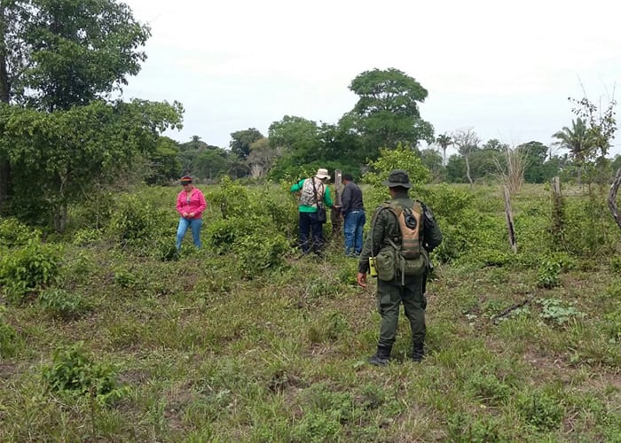 No se ha restituido ni el 5% de tierras a las víctimas