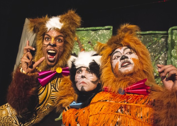 'Boda de Ratones, oportunidad de ladrones' se presentará en el Teatro Salamandra de Cali