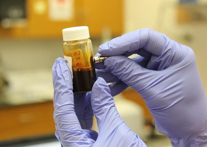 El tabú de los transgénicos