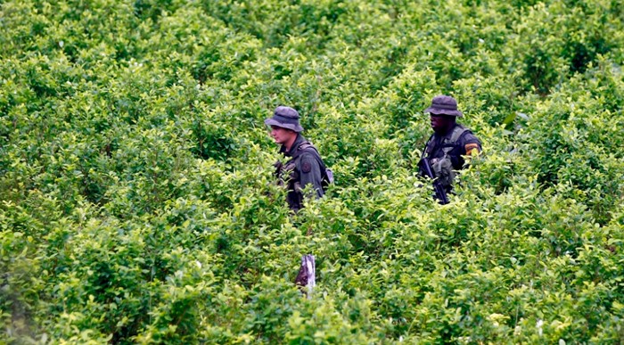  - "La coca no es el único problema que padece el Putumayo"