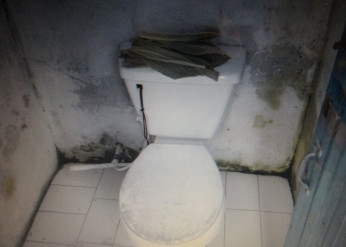 Frailejón Vs. Papel higiénico en la laguna de Cumbal