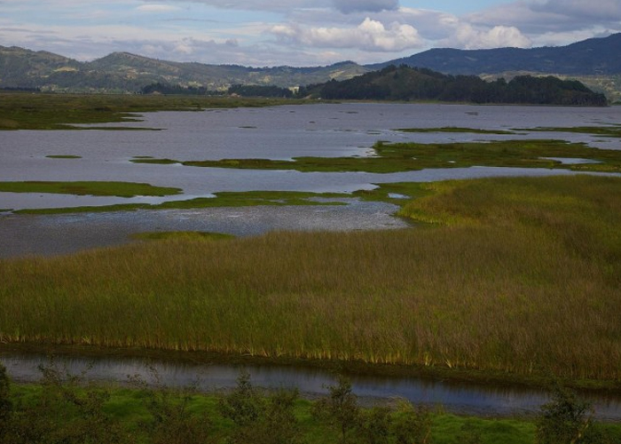 Laguna de Fúquene: entre la agonía y la redención