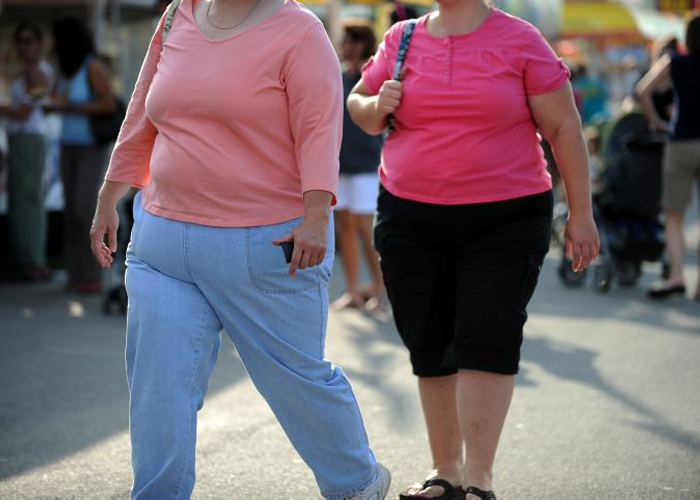 Nuestro derecho a una buena alimentación