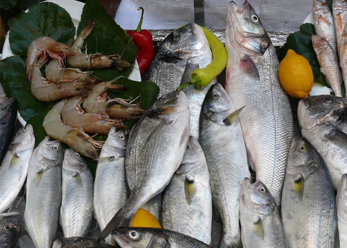 ¡Consumamos pescado de mar responsablemente!