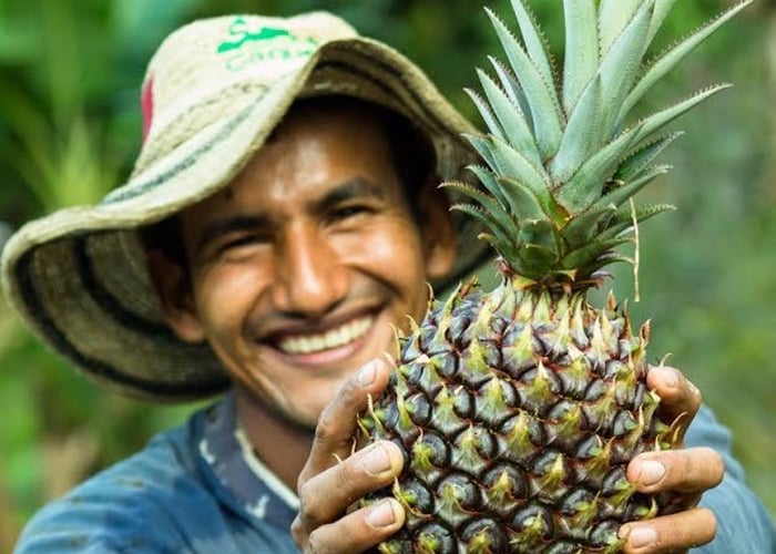 El manjar del Caquetá