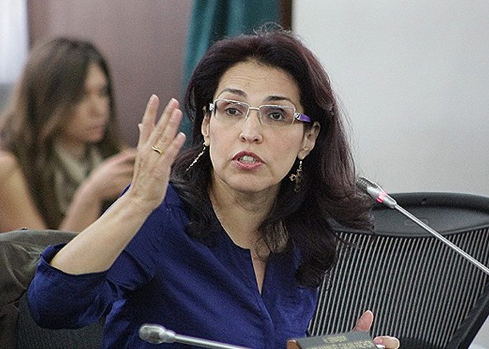 El referendo de Viviane Morales ¿Una cruzada anti-gay?