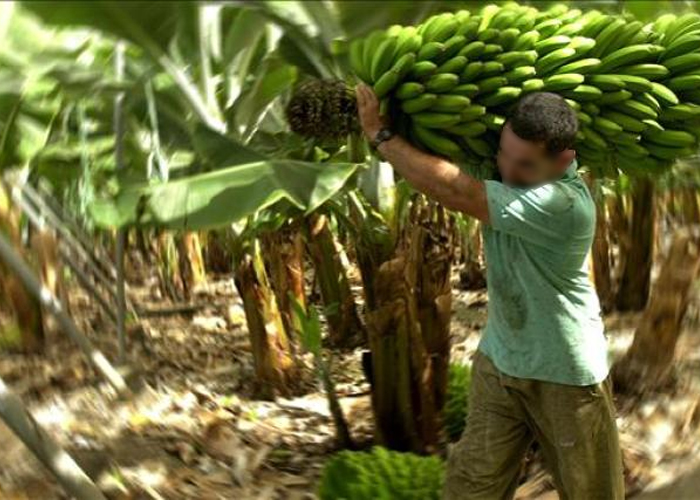Terror en la Zona Bananera: asesinan a reclamante de tierras