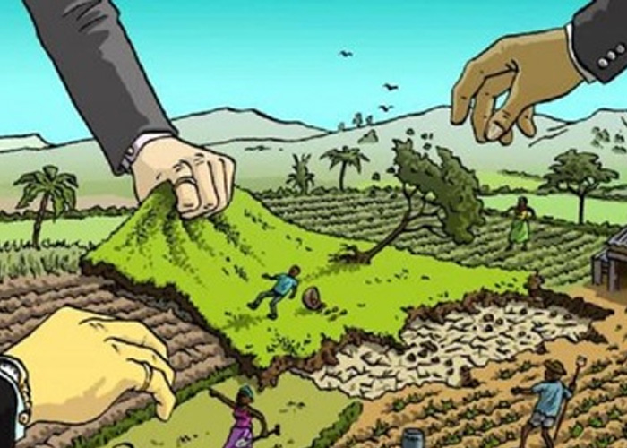 Corte Constitucional ha abonado el terreno para decir No a la Zidres