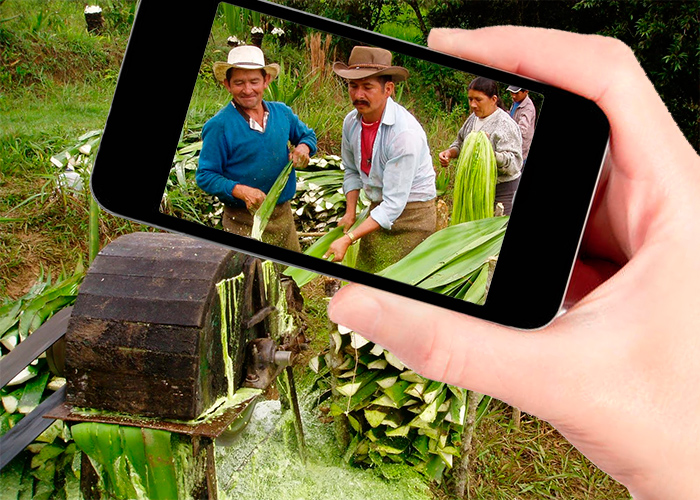 Agronet: el mundo del campo en su celular