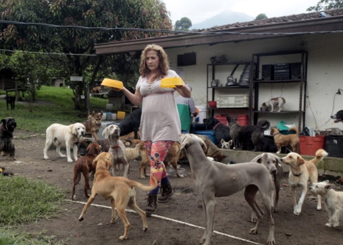 Alcalde de Caldas, Antioquia cerró albergue de más de 200 animales