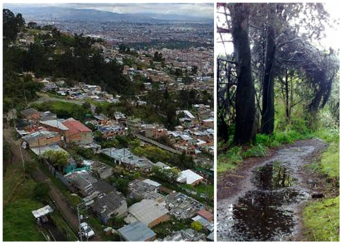Propietarios de predios en los cerros de Bogotá quieren que sus tierras sean compradas