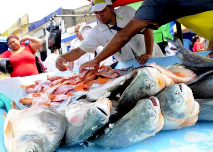“Con el Orinoco al lado y ya ni pescado se puede comer en Vichada”
