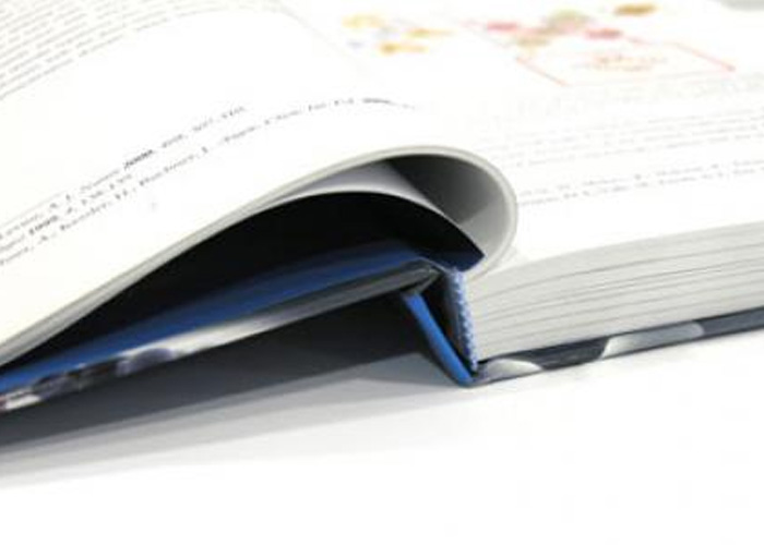 Plagio en proyecto público de Florencia