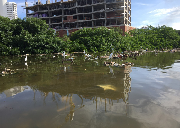 Ojalá en Cartagena le dieran la misma importancia a las reinas que a los ciudadanos