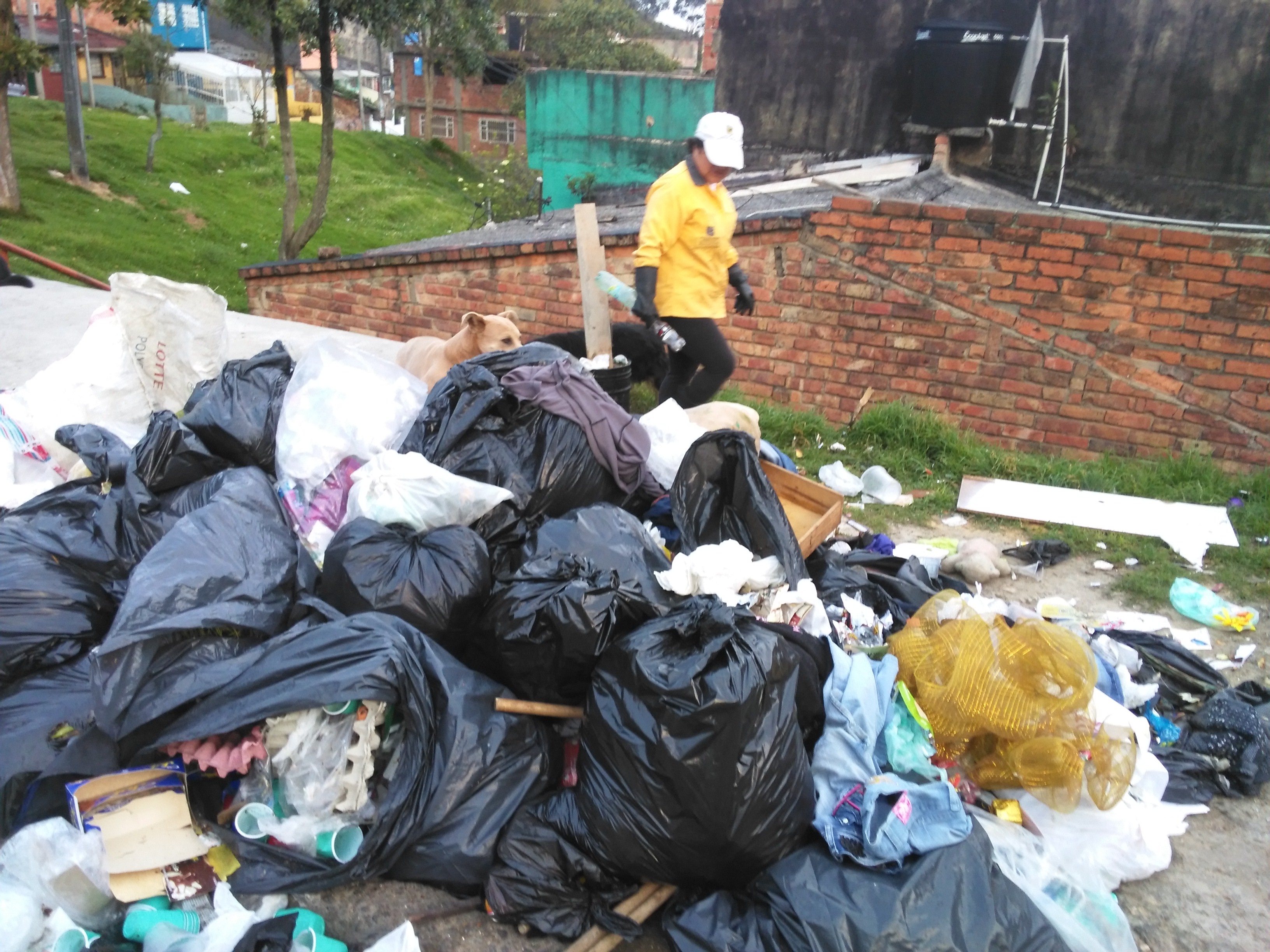 Peñalosa y el nuevo esquema de aseo en Bogotá: ¿Monopolio para unos y competencia salvaje para otros?