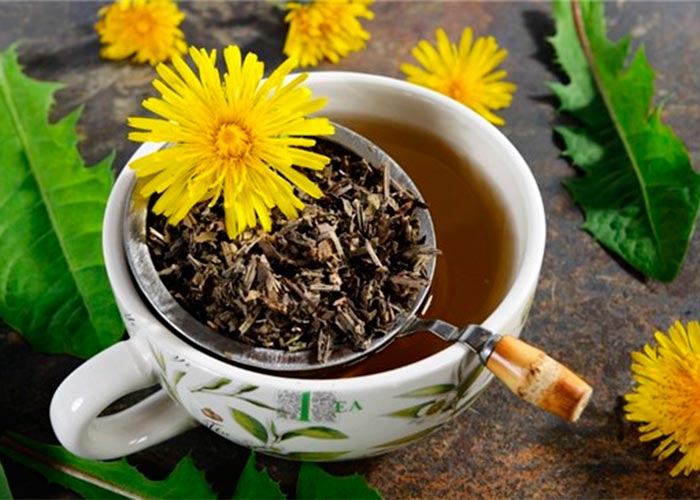 La planta que cura el riñon, el hígado y la vesicula biliar