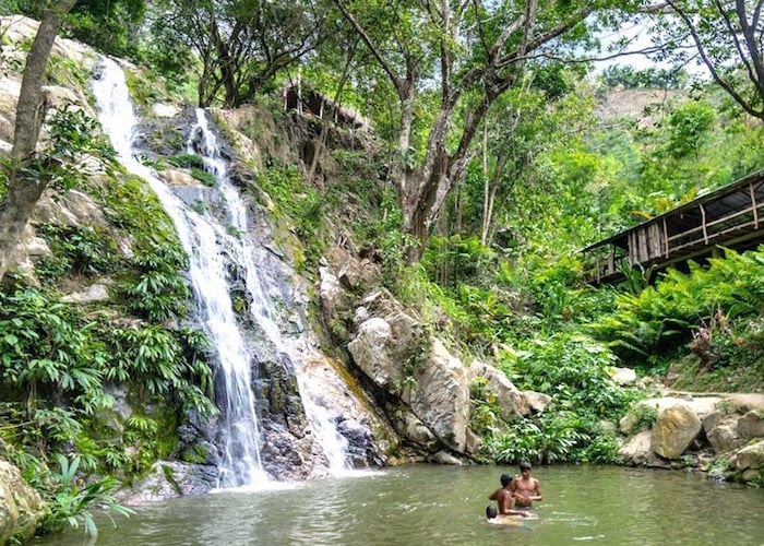 A pesar de la desidia, Minca puede salvarse