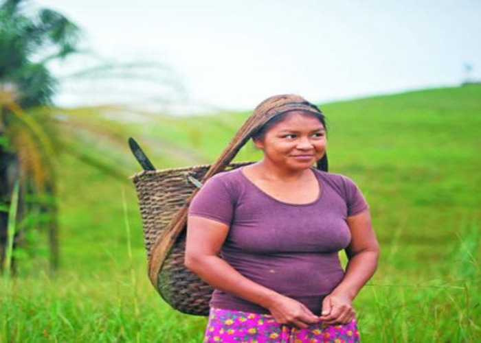 Hay que educar en género a la sociedad colombiana