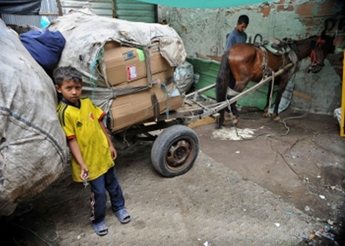 De tracción animal, a tracción, ¡animal!