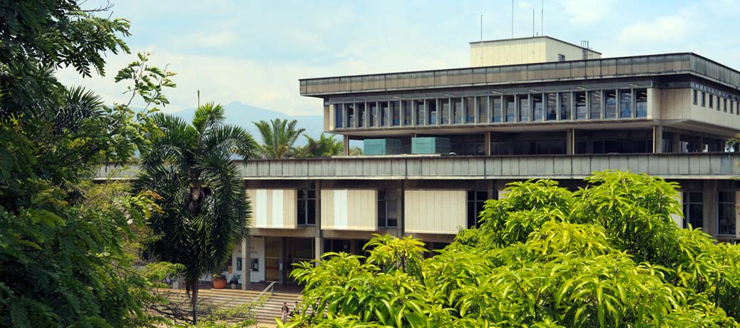 ¿Podría un gato estudiar en Univalle?
